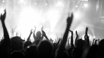 Rock concert crowd.jpg