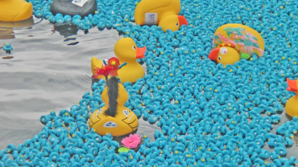 rubber ducks.JPG