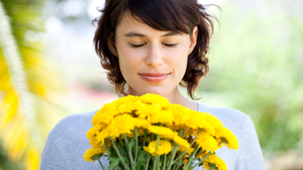 iStock_000016528270XSmall.jpg