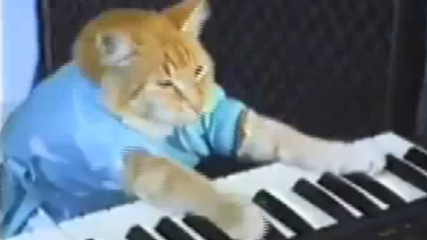 Keyboard Cat.jpg