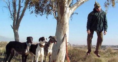 Los galgos del PSOE corren a su particular árbol del ahorcado Los galgos del PSOE corren a su particular árbol del ahorcado