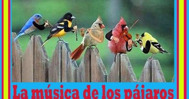 La música de los pájaros. Por Mariano González Balseiro La música de los pájaros. Por Mariano González Balseiro
