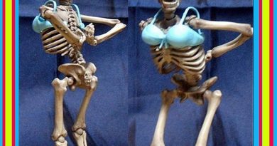 Los envíos desde Brasil del gran Mariano: Modelos preparándose para salir a la pasarela Los envíos desde Brasil del gran Mariano: Modelos preparándose para salir a la pasarela