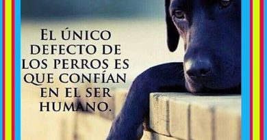El único defecto de los perros es… Por el gran Mariano desde Brasil El único defecto de los perros es… Por el gran Mariano desde Brasil
