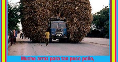 Mucho arroz para tan poco pollo… Por el gran Mariano desde Brasil Mucho arroz para tan poco pollo… Por el gran Mariano desde Brasil