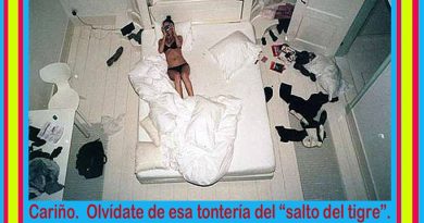 Olvídate de esa tontería del salto del tigre, te vas a matar Olvídate de esa tontería del salto del tigre, te vas a matar