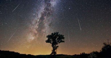 Cómplice sideral de las Perseidas consciente de mi pequeñez con nueve deseos. Por Paco Linares Cómplice sideral de las Perseidas consciente de mi pequeñez con nueve deseos. Por Paco Linares