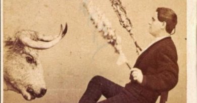 Héroes españoles a pie y a caballo: Del Torero y el Respetable. Por Inés Del Boca Héroes españoles a pie y a caballo: Del Torero y el Respetable. Por Inés Del Boca