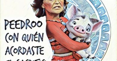 ¿Sánchez presidente antes de Navidad? Lo que sea y como sea… ¿Sánchez presidente antes de Navidad? Lo que sea y como sea…