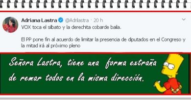 La señora Lastra tiene una extraña forma de remar en la misma dirección. Por Rafael Gómez de Marcos La señora Lastra tiene una extraña forma de remar en la misma dirección. Por Rafael Gómez de Marcos