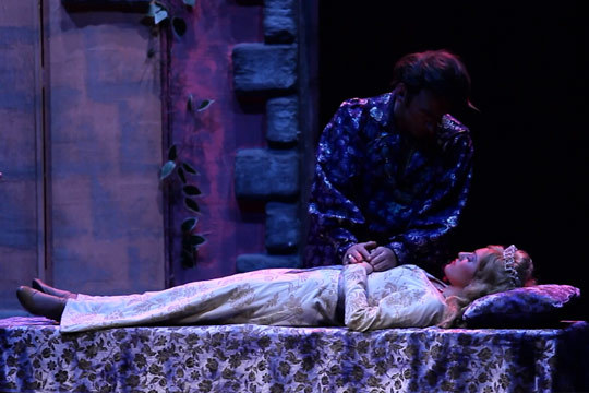La bella durmiente, el musical