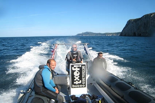Excursión de 2 horas en barco para poder ver ballenas con Txof! 