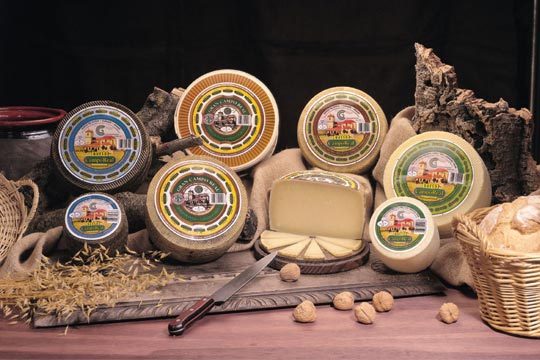 Queso 