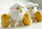 Lamb