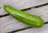 Squash