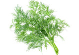 Dill