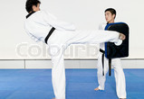 Martial arts