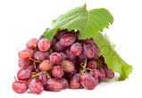 Grape