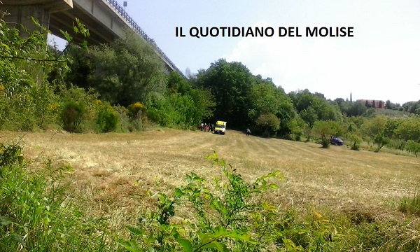 Isernia, accoltella una tassista e si butta giù da un viadotto Isernia, accoltella una tassista e si butta giù da un viadotto
