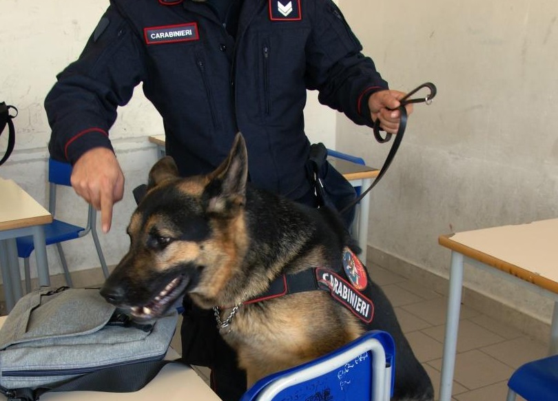 Carabinieri del Valdarno in azione. Due arresti e dieci denunce