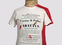 Cc_ts_castor_m