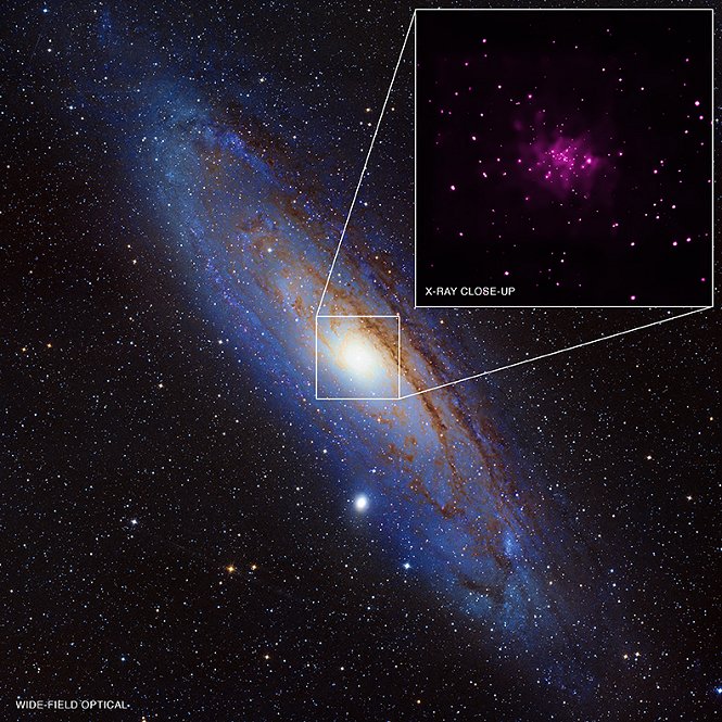Black hole candidates in the Andromeda Galaxy Black hole candidates in the Andromeda Galaxy