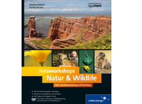 Zum Buch Fotoworkshops Natur & Wildlife