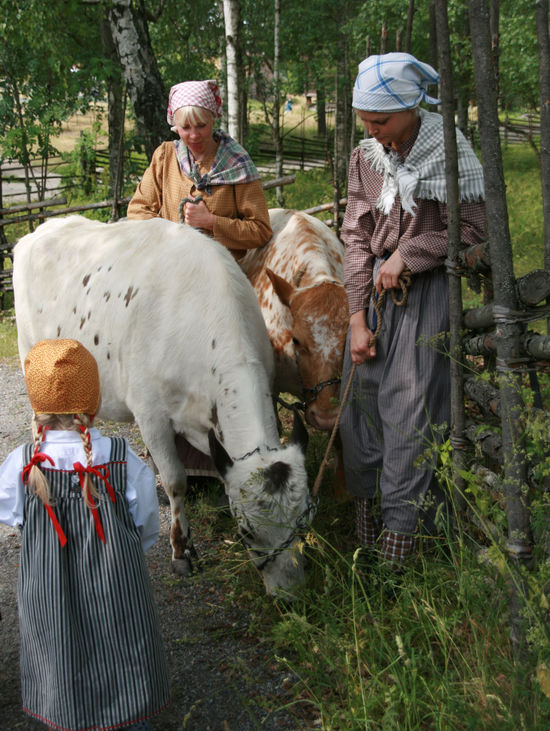 Buföring på Skansen Buföring på Skansen