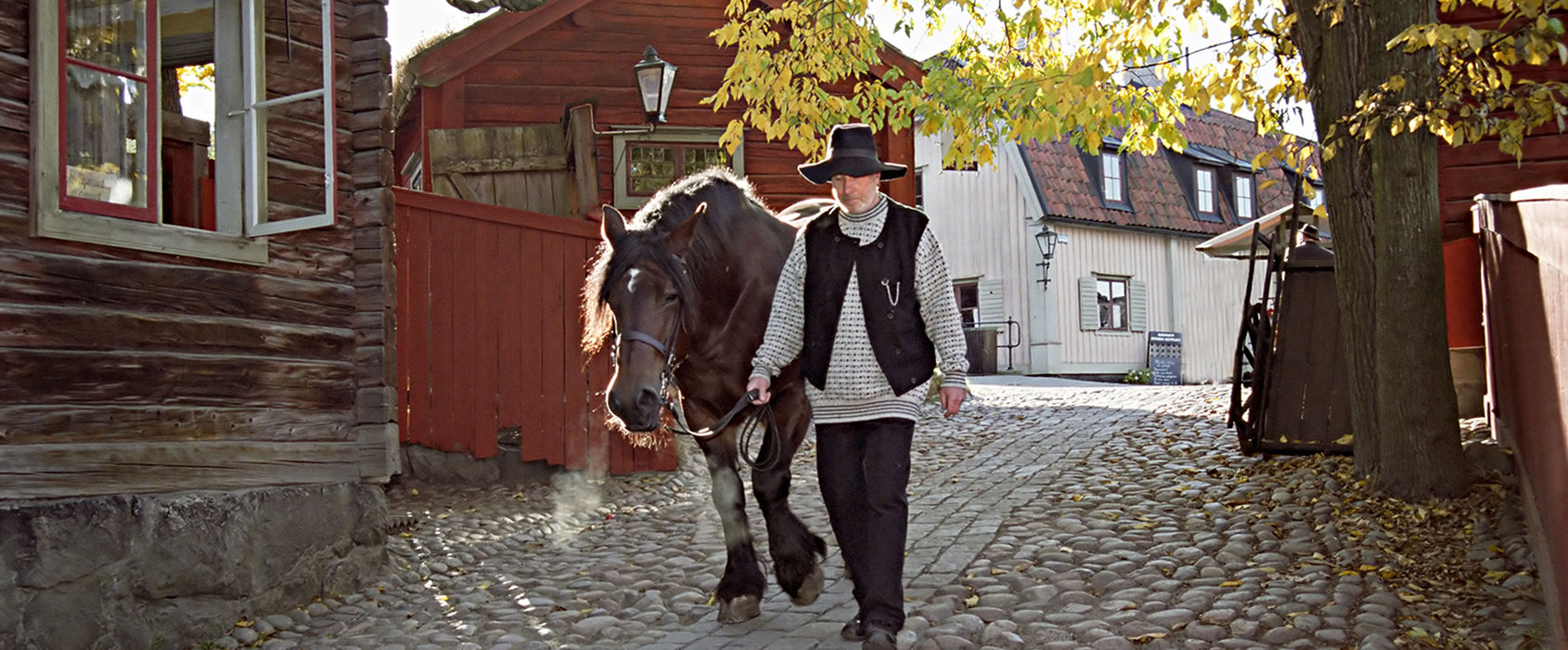 Ma Stadsskvarteret Med Häst Ma