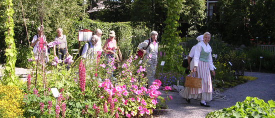 Örtagården Värd El