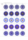 Petal Pairs 4