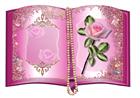 Book pink rose set-DWJ