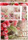 Winter Birthday Element Sheet 2