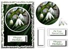 Snowdrops