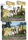 love of dogs plc