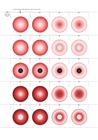 Petal Pairs 1