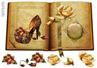 Diva shoes antique rose book