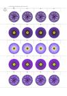 Petal Pairs 3