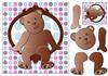 Chocolate teddy