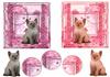 2 squared cards(for any Occasions 1)