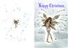 christmas 3plc