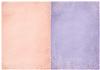 Shabby Chic Dotty Papers