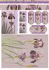 Iris Lace