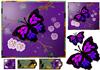 butterfly dream