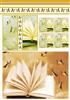 Butterfly Book