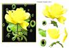 delicate yellow rose