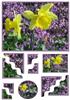 Daffodils in Bloom wavy corner stacker