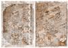 Musical Notes & Roses vintage bgs