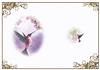 Moonlit Hummingbird Insert