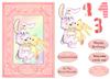 A5 card (Baby No3a)